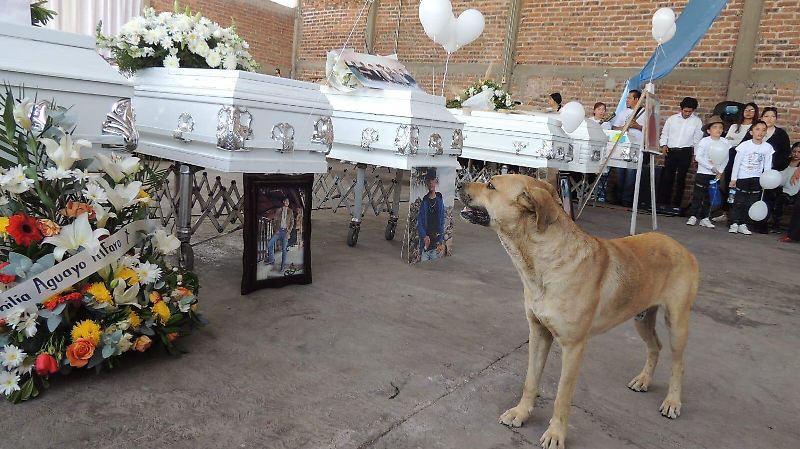 Entre aplausos y porras despiden a los ocho jóvenes víctimas de una masacre en Salamanca